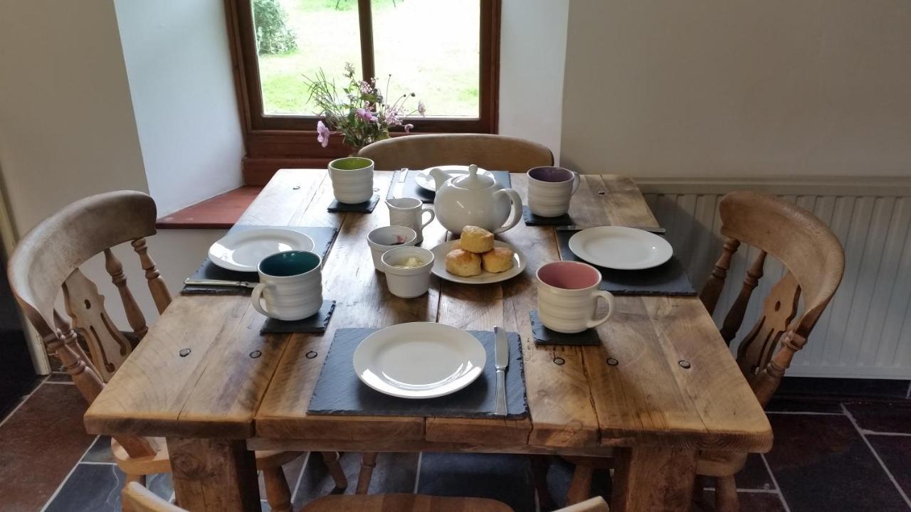 Coopers Cottage Dog Friendly North Cornwall Delabole Dış mekan fotoğraf